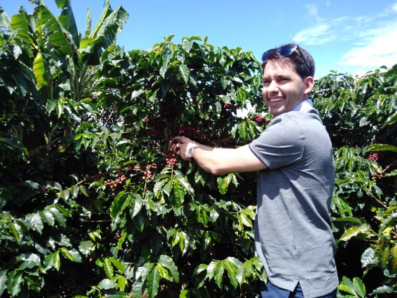 PanareseGroup-manufacturing-process-green-coffee-manual-